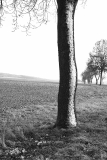 IMG_7020-bearbeitet-fertig-1